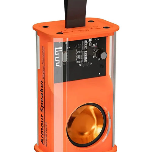 Armour Transparent 5 W Bluetooth Speaker Bluetooth Fire Bass